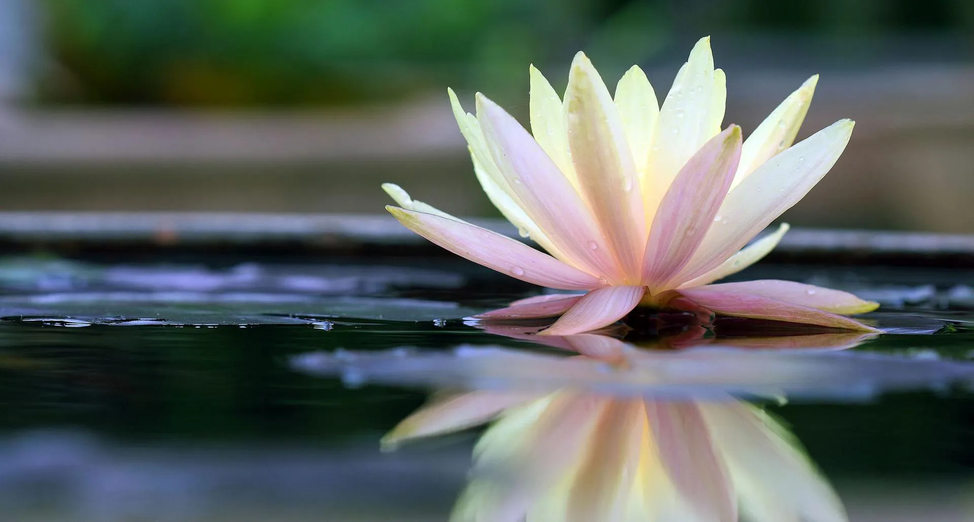 Serate di meditazione durante l'estate
