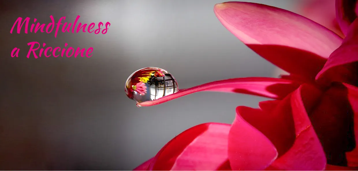 Corso di Mindfulness a Riccione