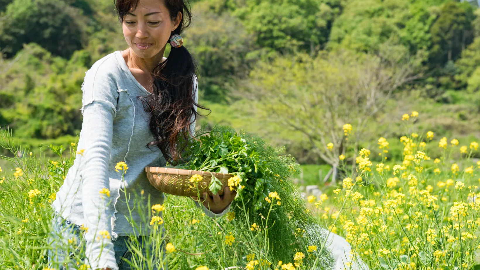 Passeggiata nella natura alla scoperta di piante ed erbe officinali