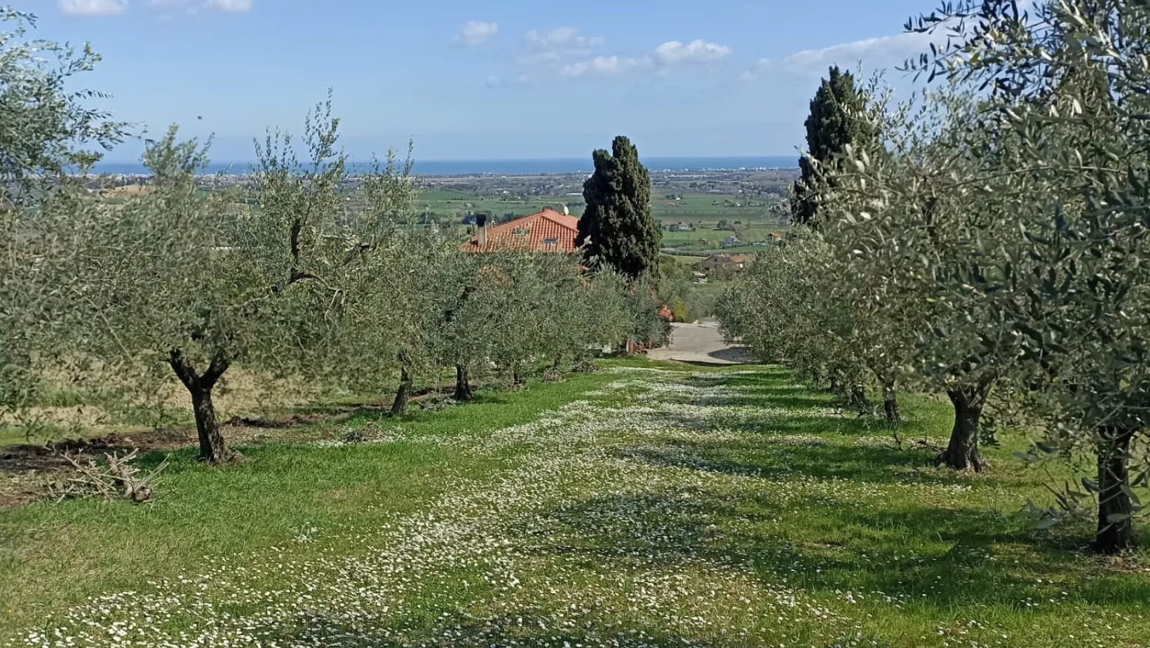 Yoga, riscoperta di sé, aperitivo e BlessPan.. in collina