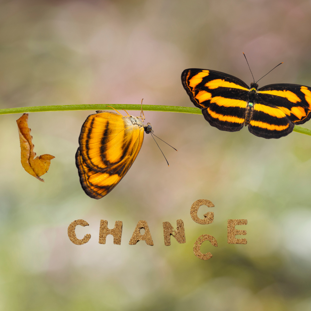 Cambiare fa paura. Rafforzare l'autostima per affrontare i cambiamenti.