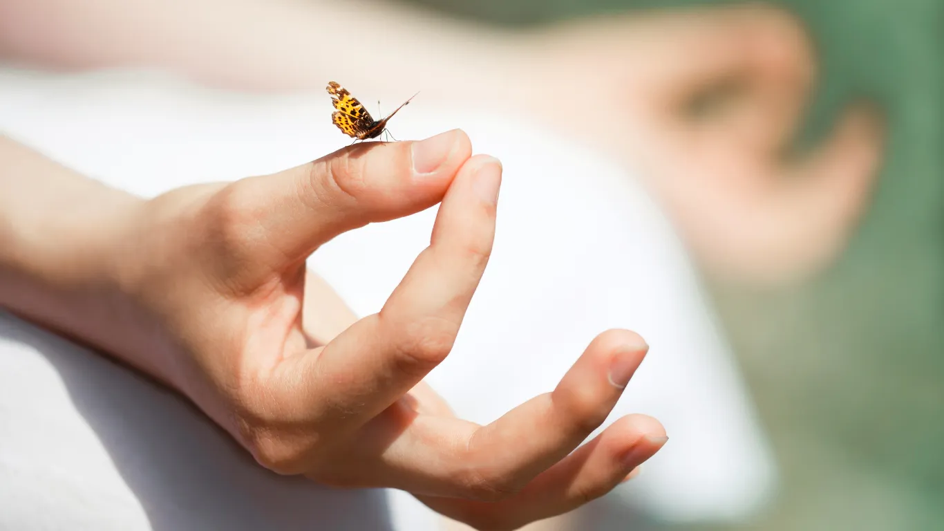 Mindfulness e Compassione