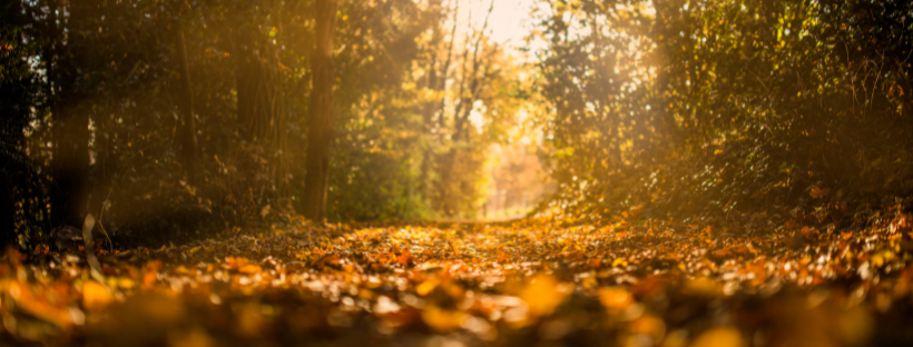 Camminate d'autunno: luoghi che fanno bene...